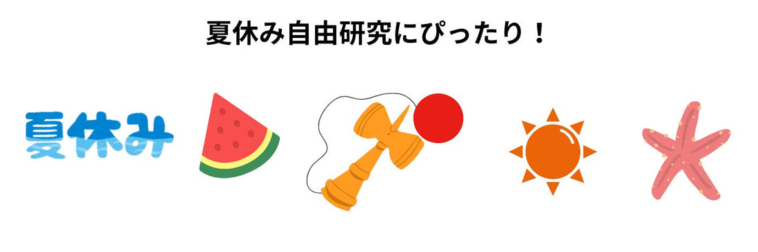 夏休み自由研究にぴったり!けん玉の歴史から実験・体験までアイディアを完全ガイド