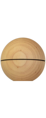 Winner kendama GECKO MBL 1 line Tama only Maple