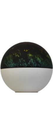 Winner kendama GECKO Chameleon Tama only Maple