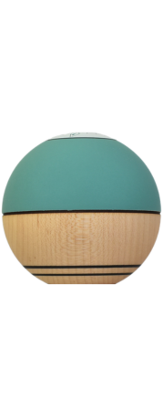 Winner kendama GECKO Green Phantom Tama only Maple