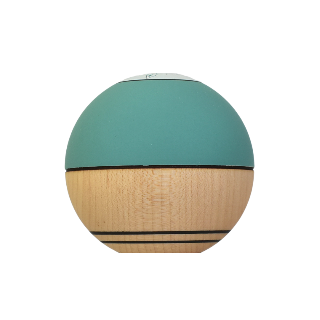 Winner kendama GECKO Green Phantom Tama only Maple